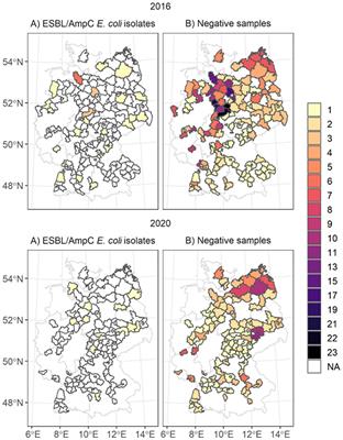 Environmental factors associated with the prevalence of ESBL/AmpC-producing Escherichia coli in wild boar (Sus scrofa)